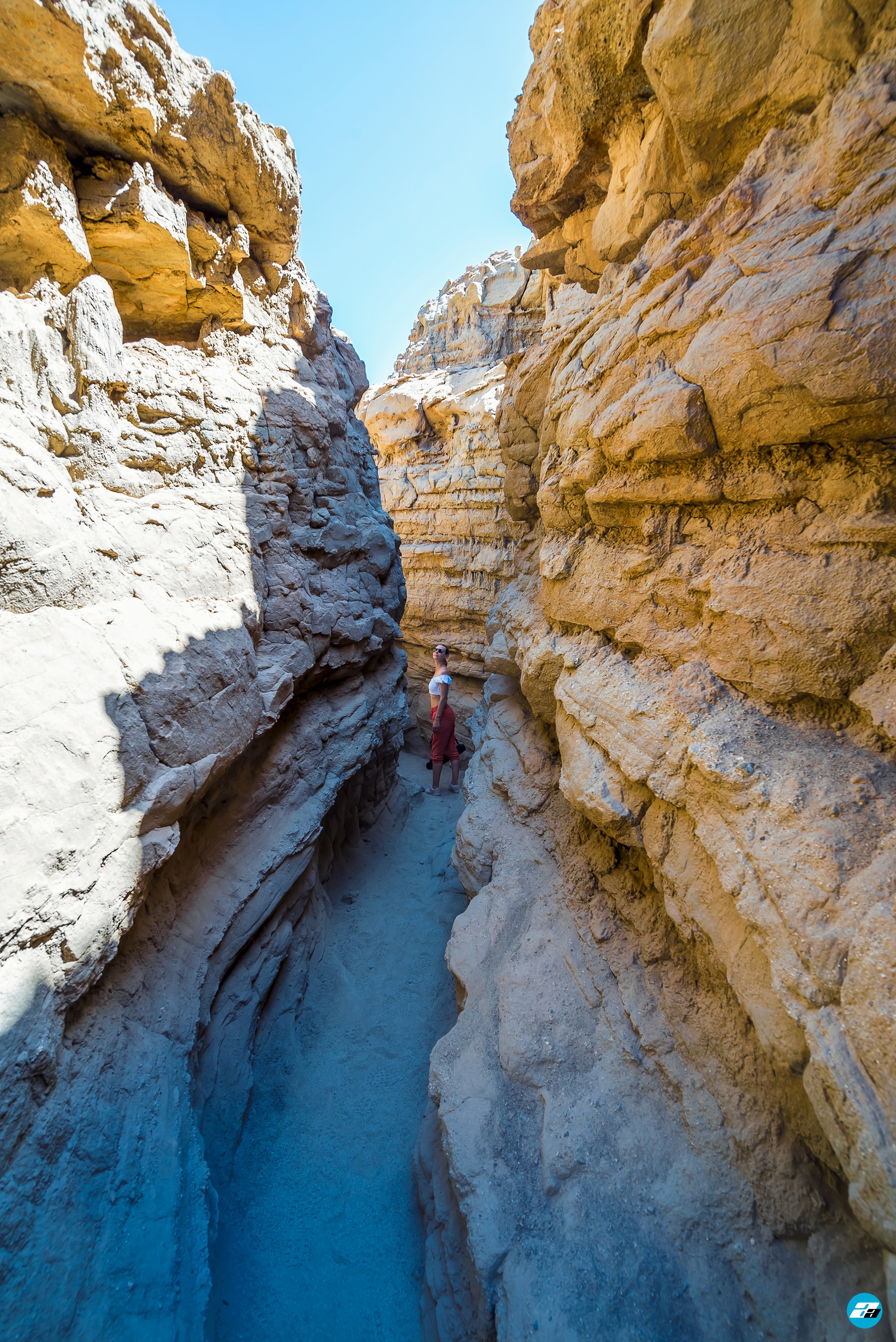 Anza-Borrego Desert, CA - Alexiev Arts