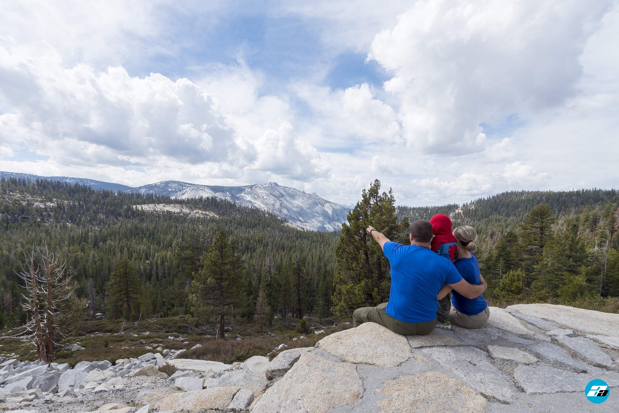 Yosemite National Park, California, USA. Landscape. Mountain View. Forest. Family