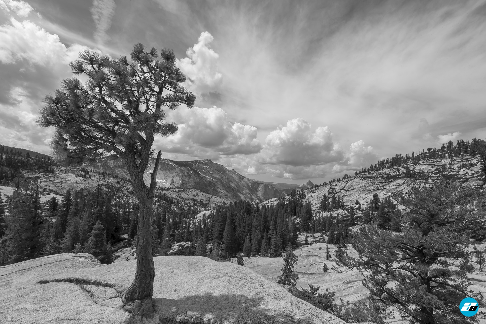 Yosemite National Park, California, USA. Landscape. Solitude. Mountain View. Olmsted Point