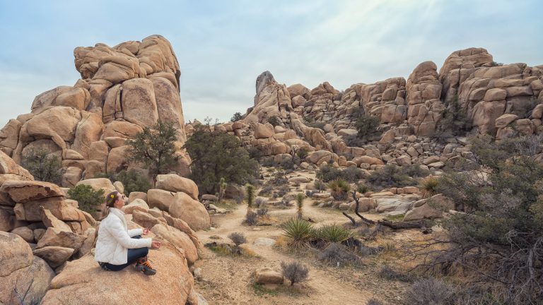 Joshua Tree National Park, California, USA. California Attraction & Travel. Yoga Stance. Relaxation.