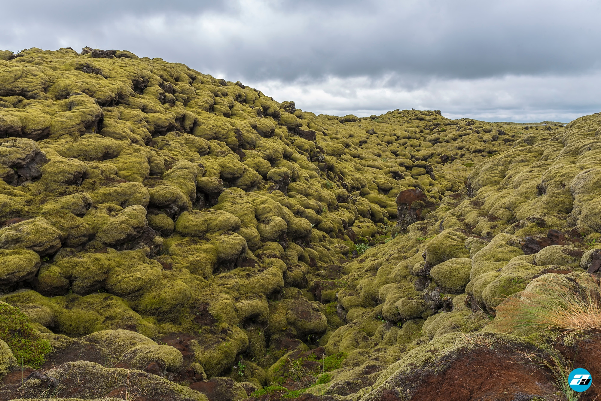Iceland Travel, Ring Road, The Mossy Lava Fields
